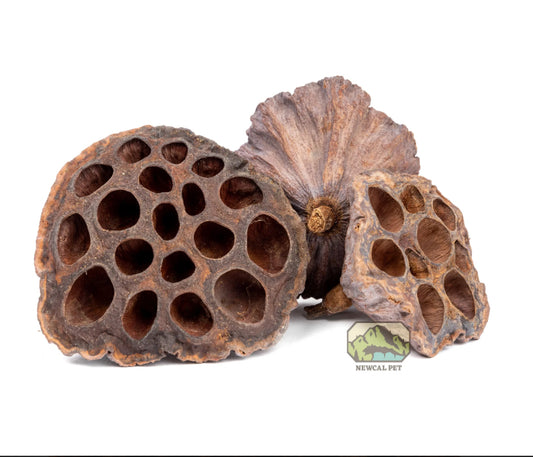 NewCal Lotus Pods (3 pack)