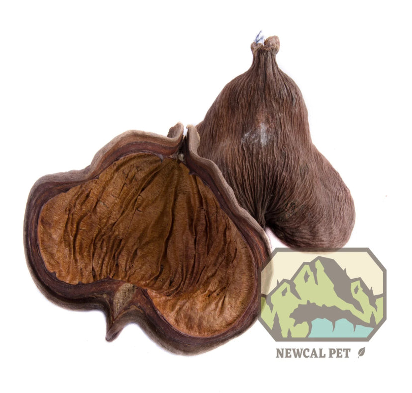 NewCal Jungle or Badam Pods (2 pack)