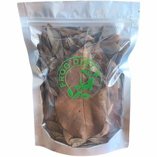 Leaf Litter Mixed Pack