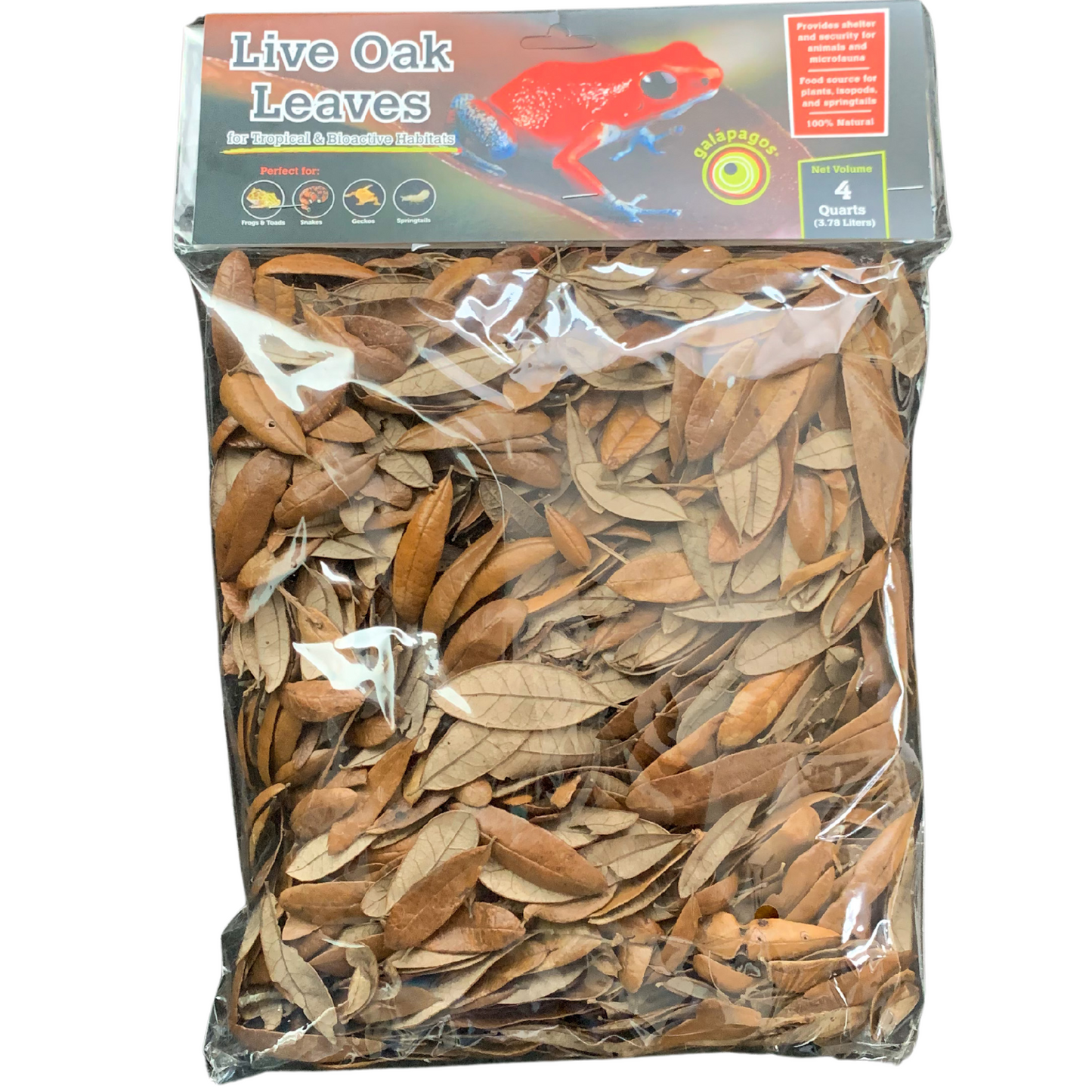 Live Oak Leaf Litter (4 Quart)