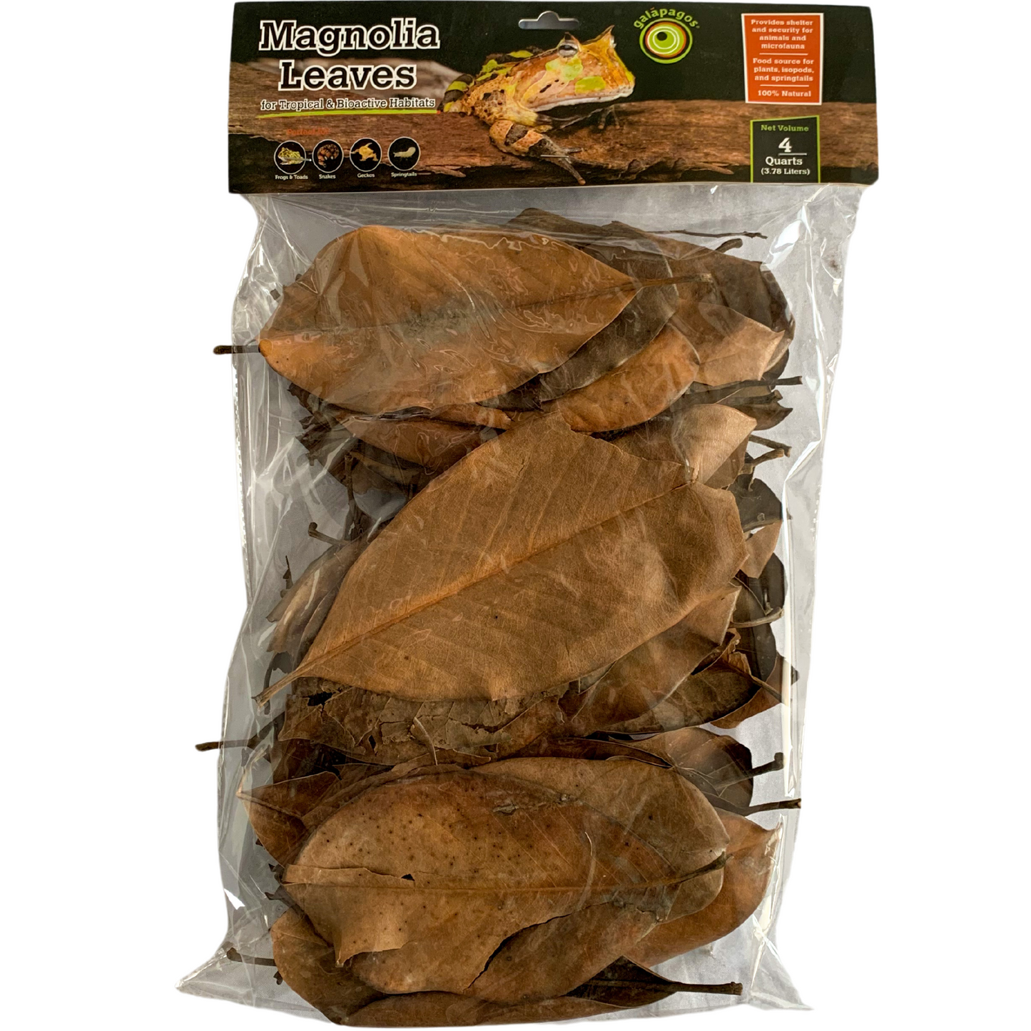 Magnolia Leaf Litter (4 Quart)